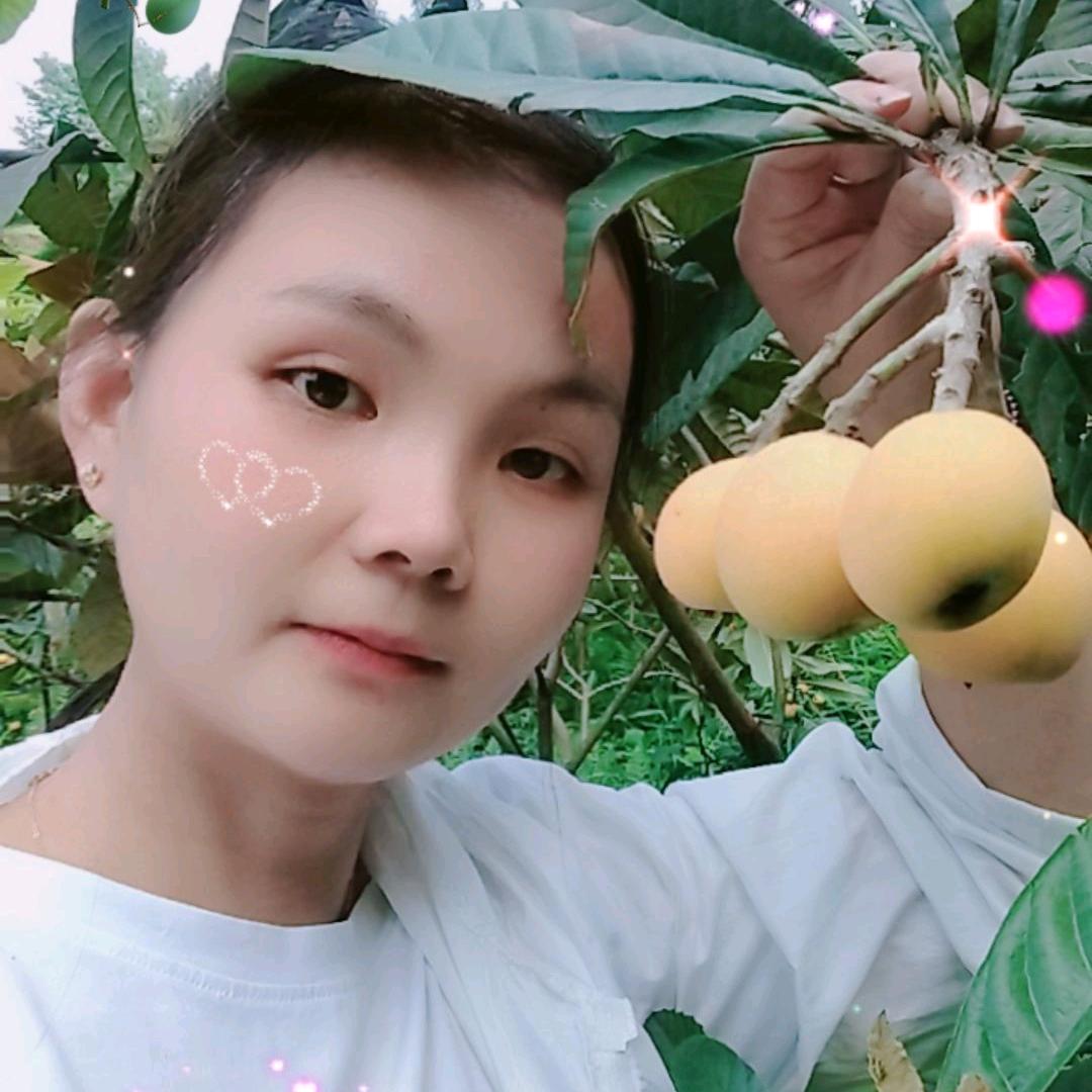 卖枇杷的鑫鑫
