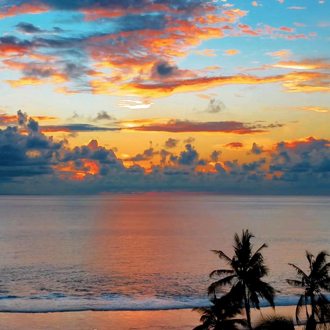 Wᴗangꫛꪝᝰ෴ ۣ .