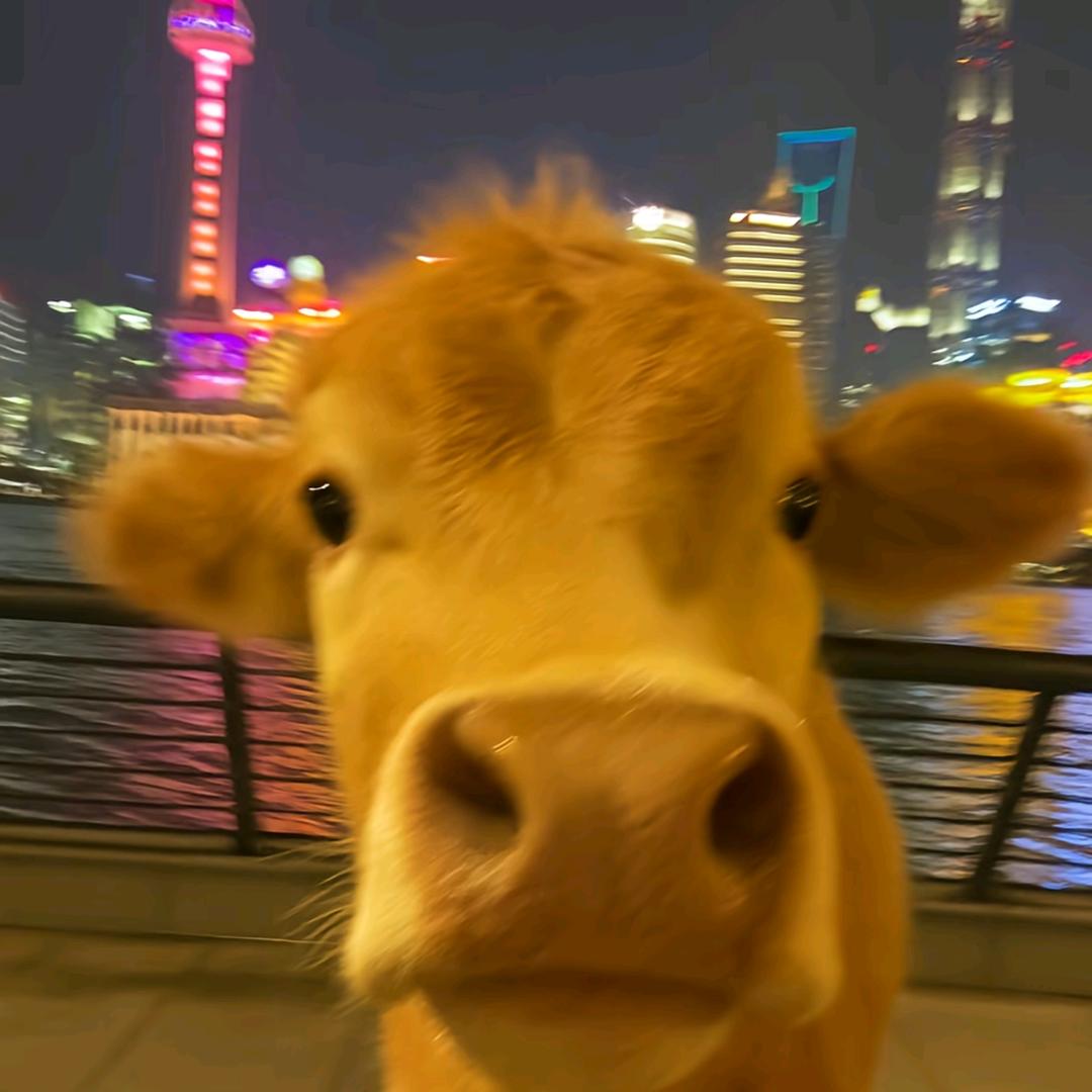 ǎ