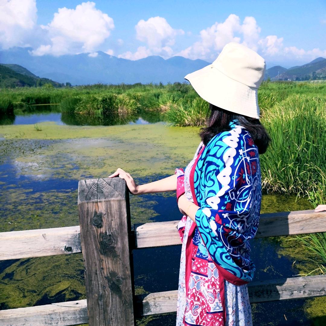柿柿如意