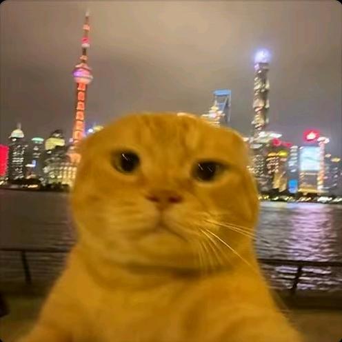 汉江以南