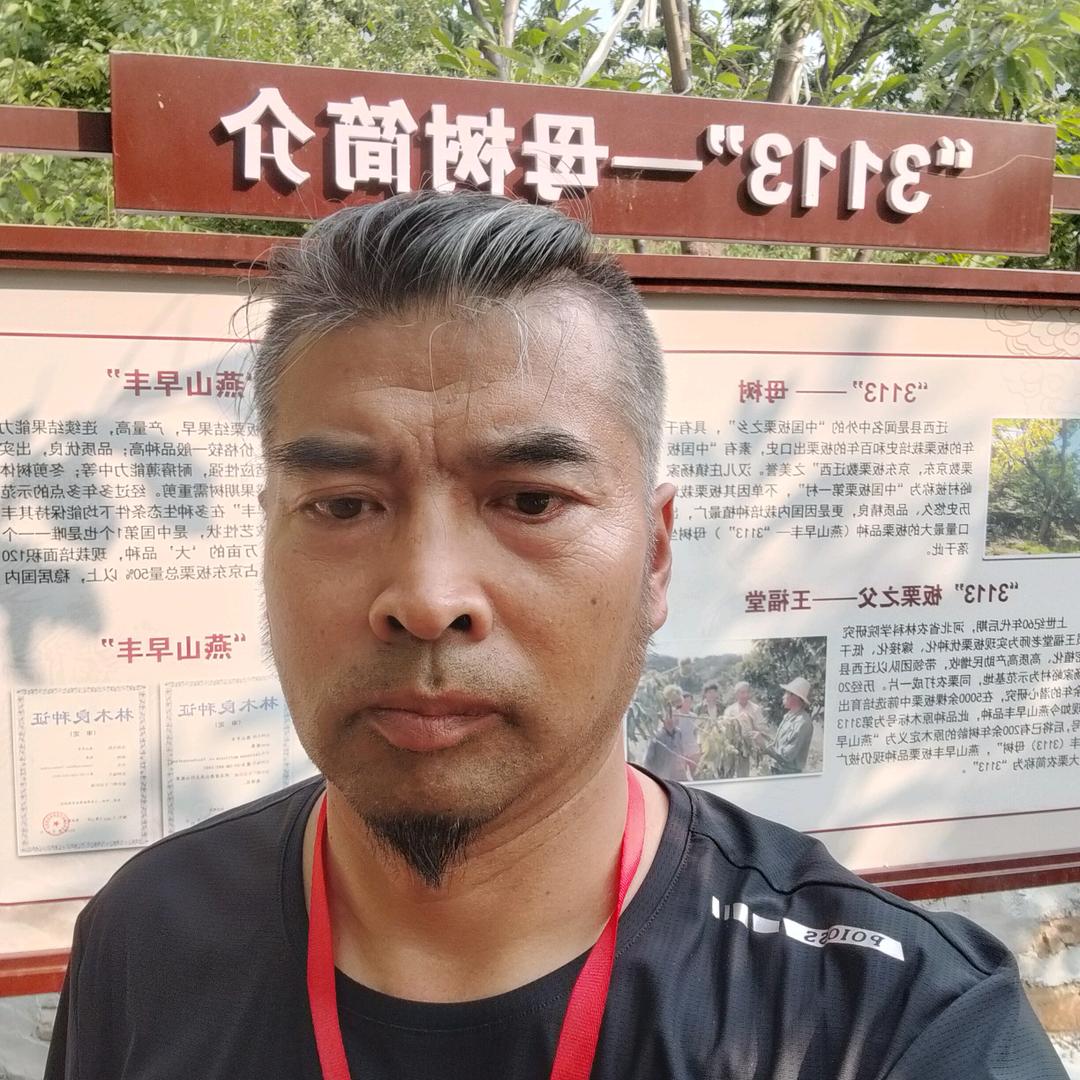 云鼠光谷链动模式