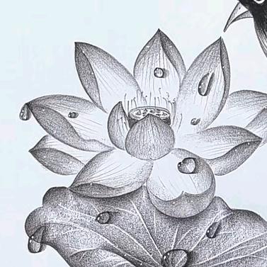 文文老师教画画