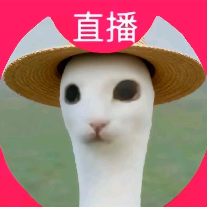 我恨所有讨厌的人。