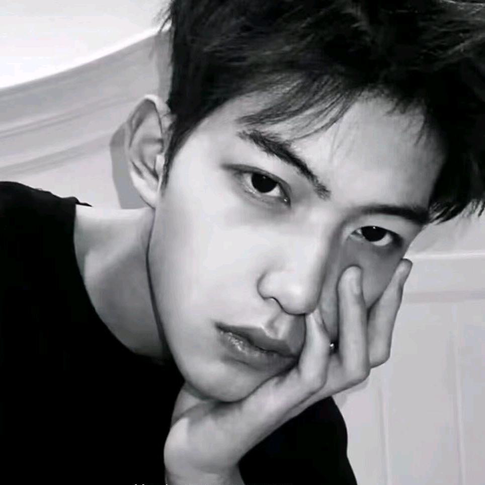 🌴Knight·骑士🗽