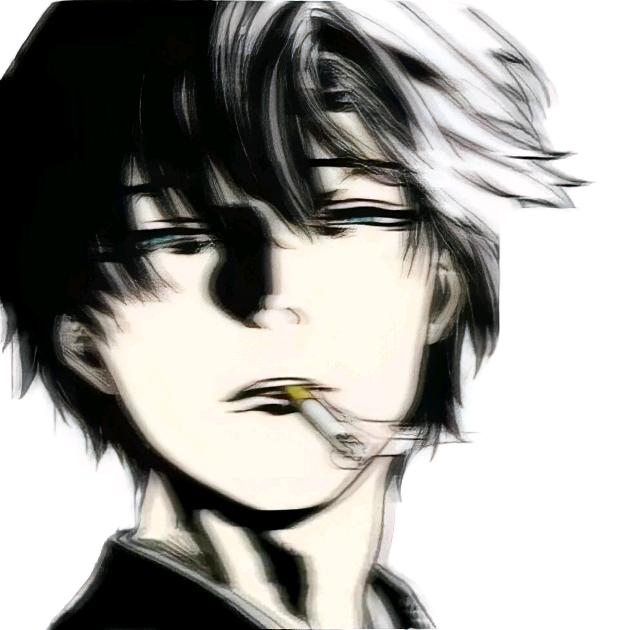 毕加索的猫（马钞准备中）