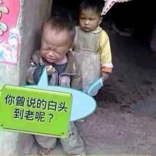 罗九爷