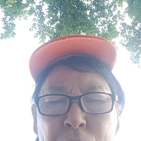 秀霞