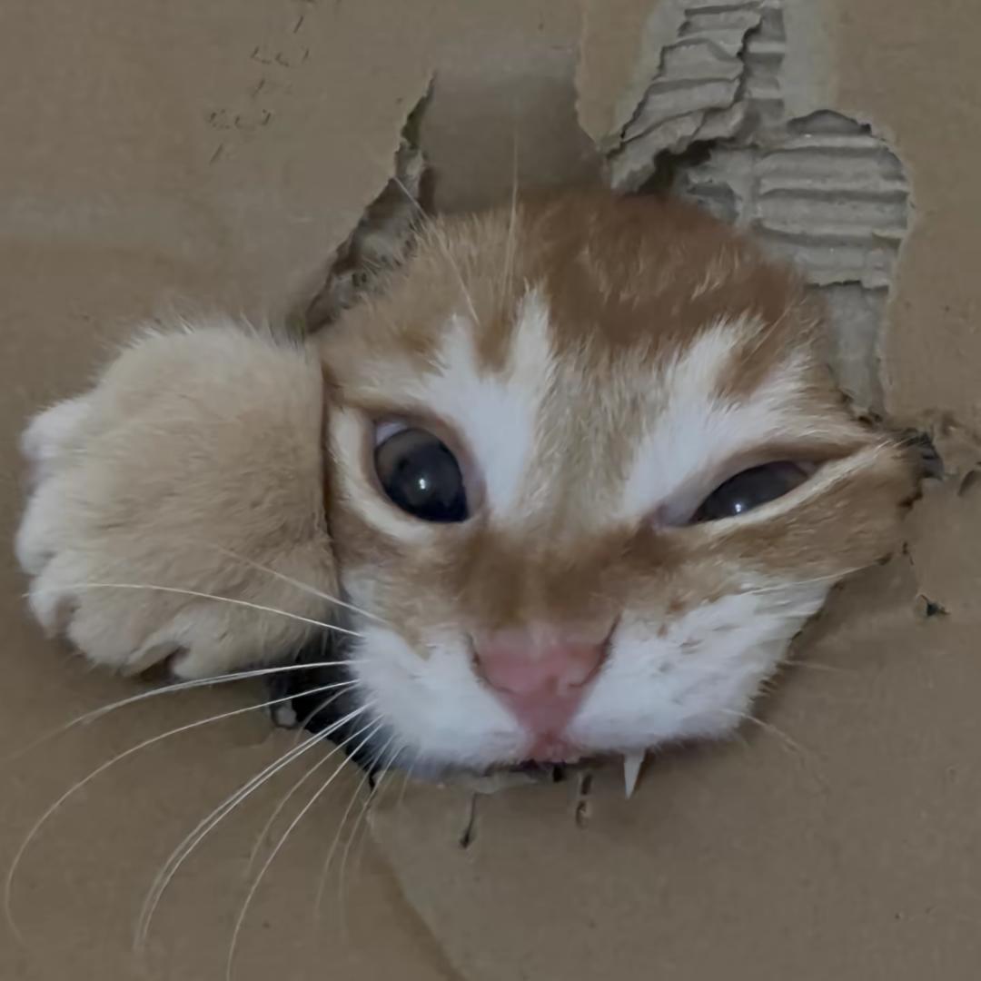 Soupir d'Amour