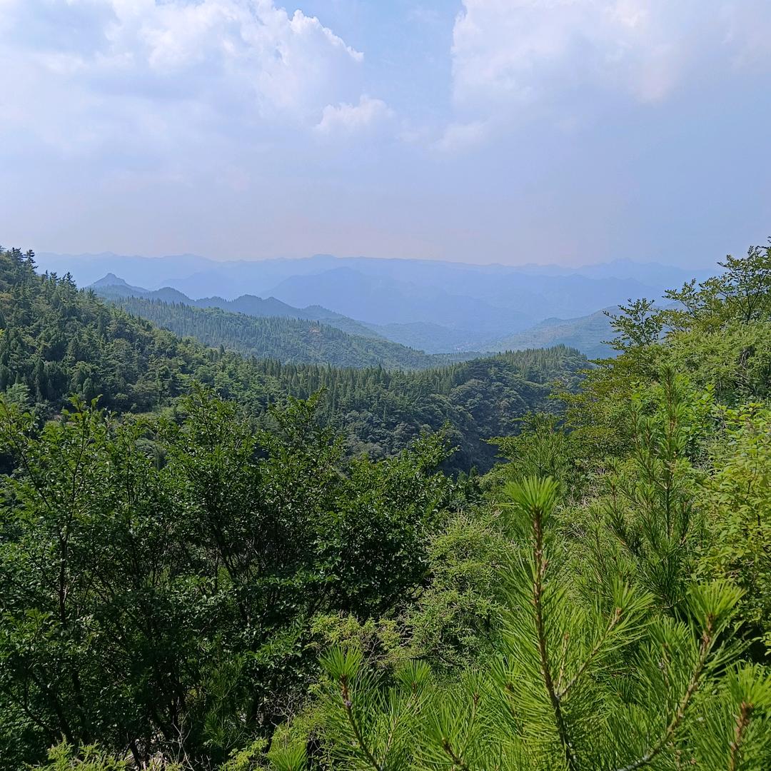 肖同德，刮腻子墙漆