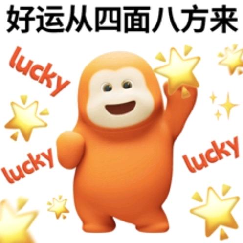 这个杀手不太热