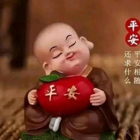 光头强七四虎😽
