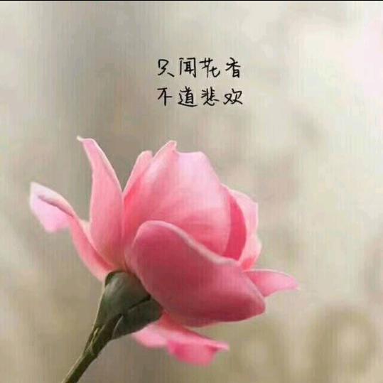 ~上上签～