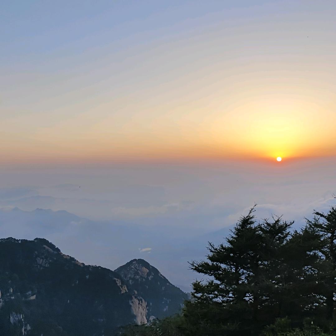 W三岁