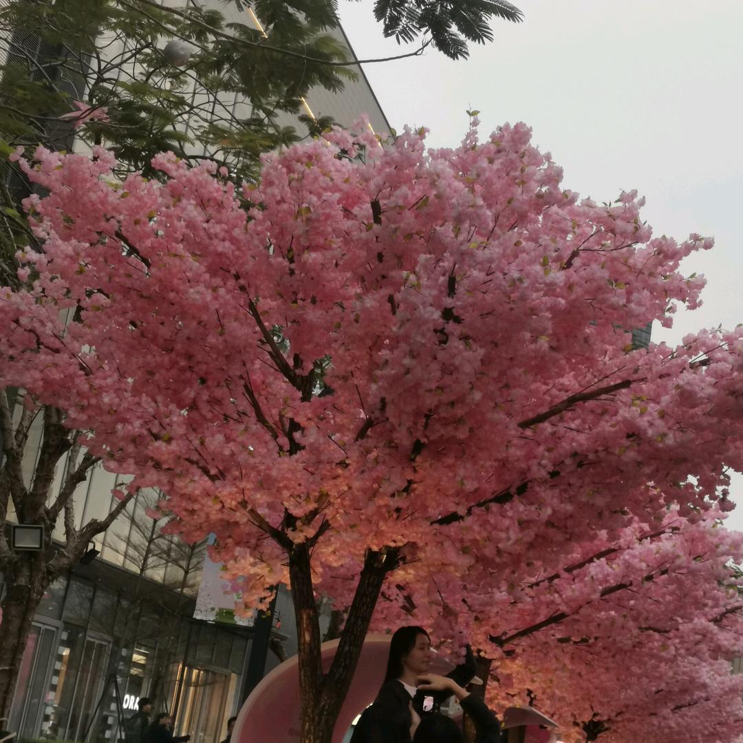 🍀