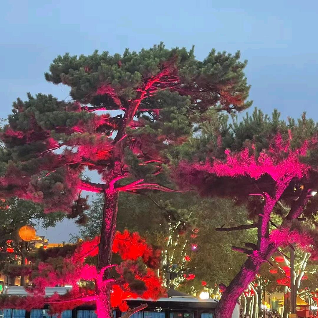 随心所欲