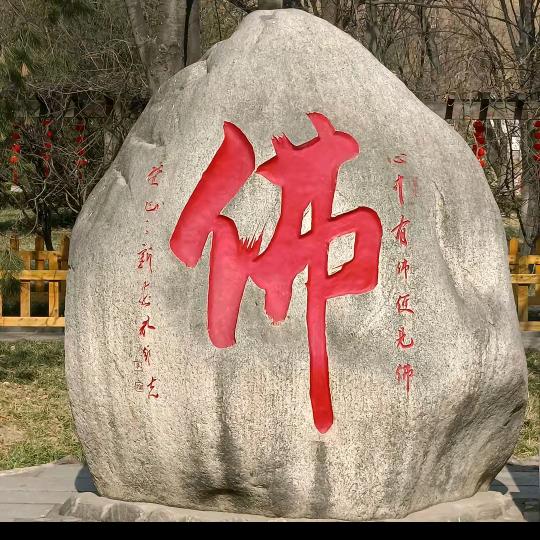 山东贵哥