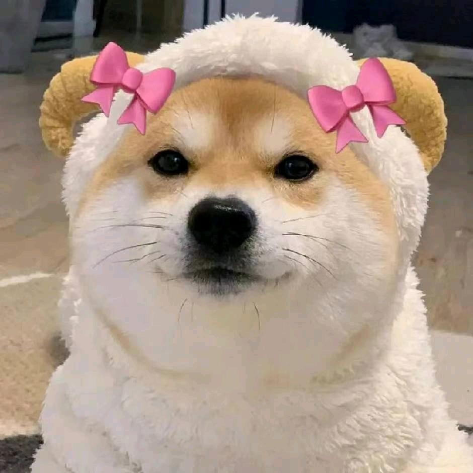 ᝰꫛꫀꪝ星若⁵²º⅓¼