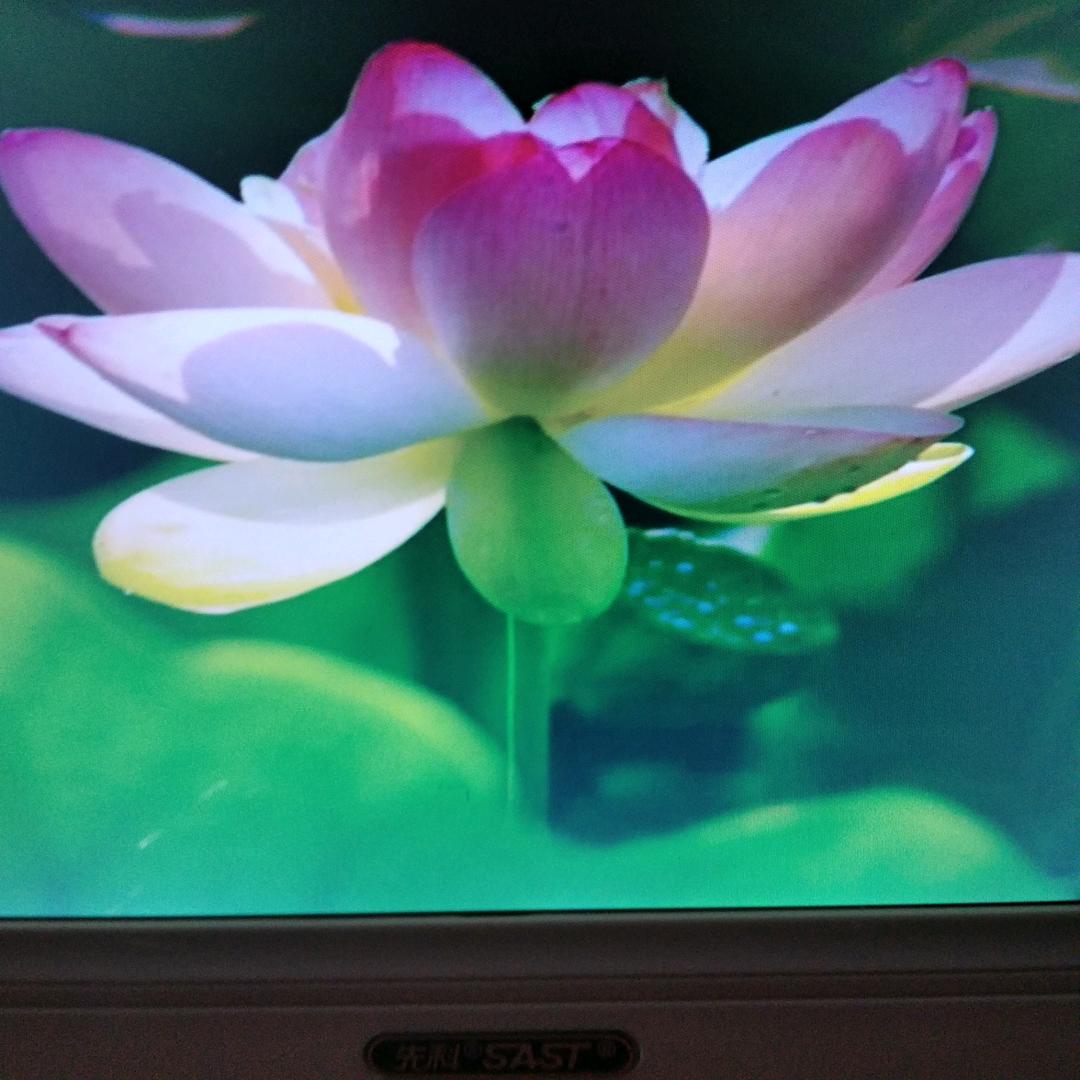 平安🙏