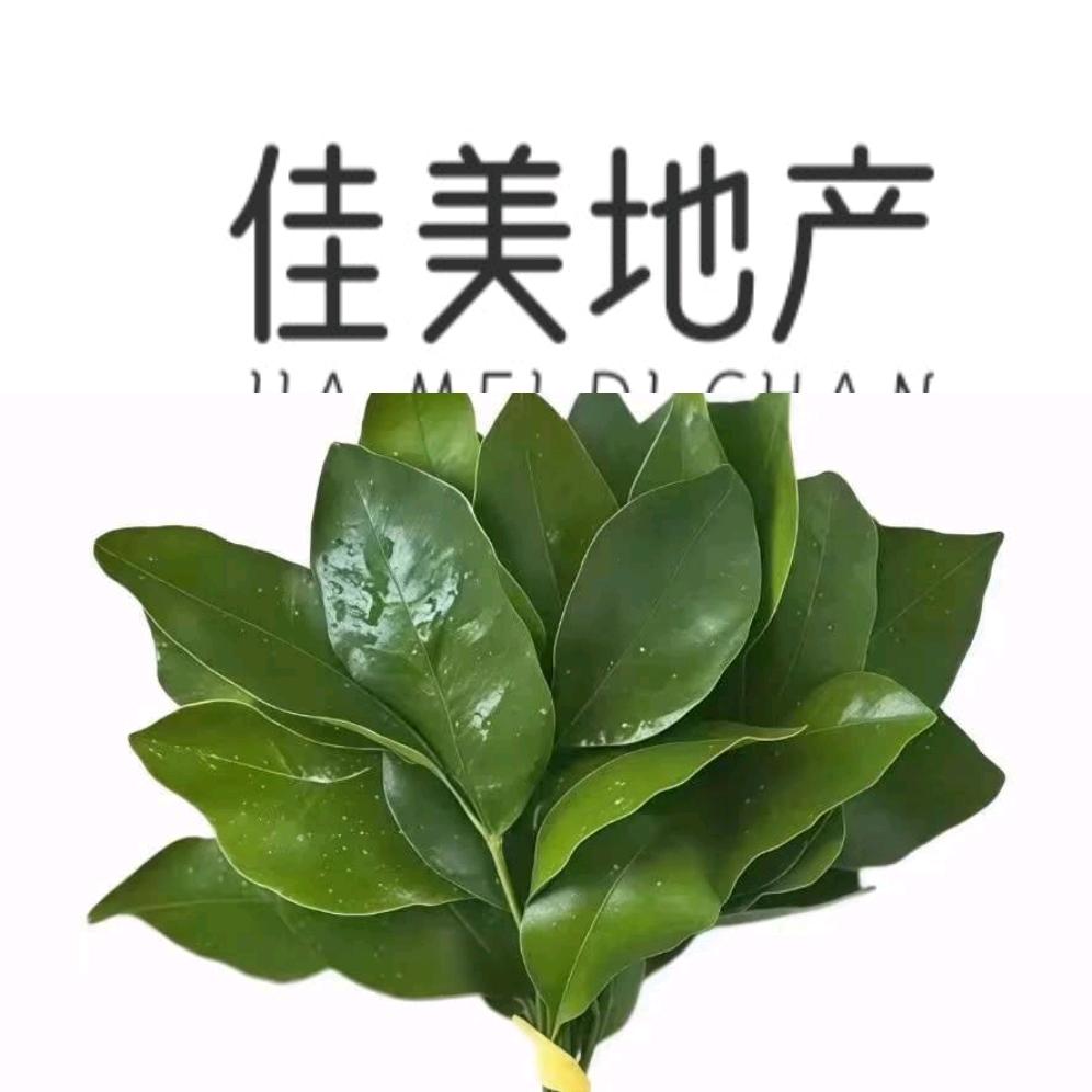 佳美雅居地产-小张