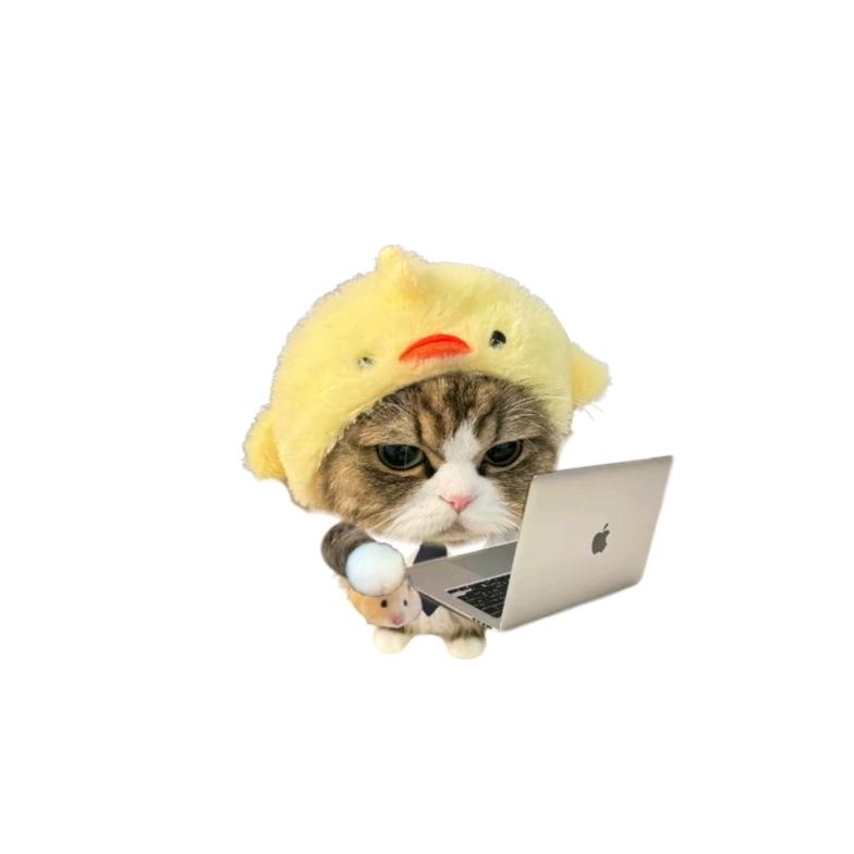 记忆是無名花