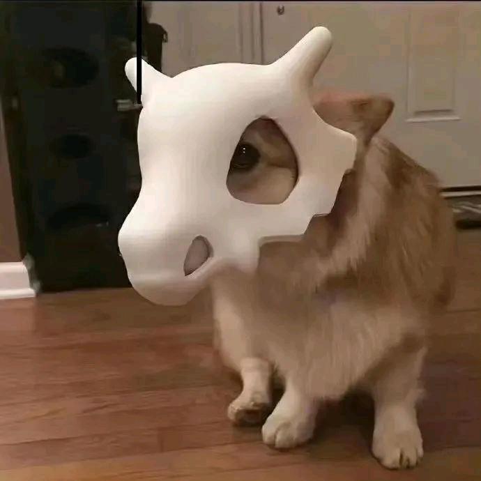 世界的尽头