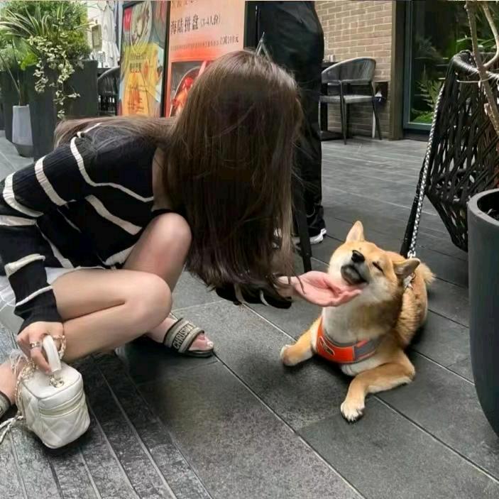 念旧头像
