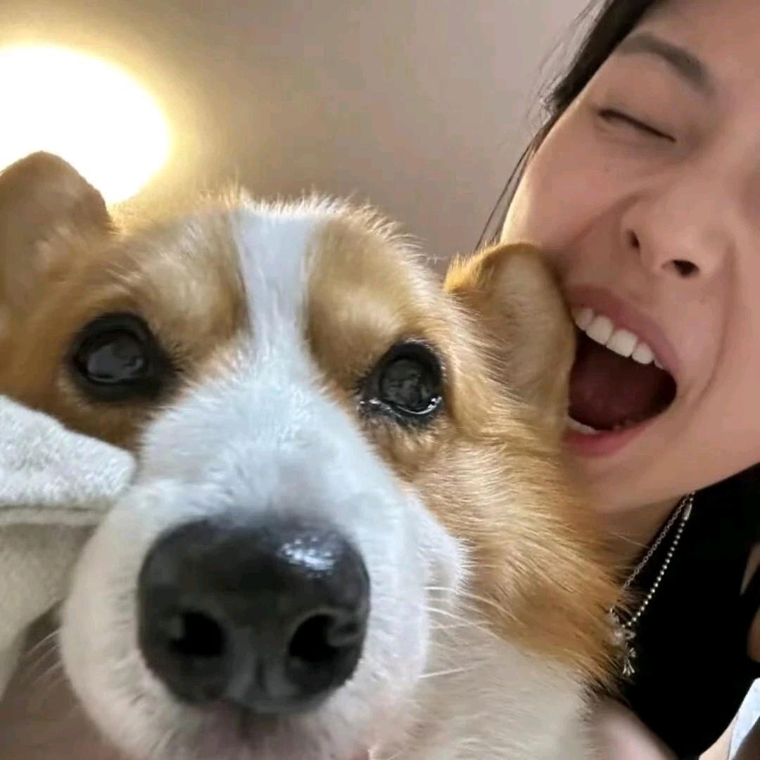 荔枝只只🐟