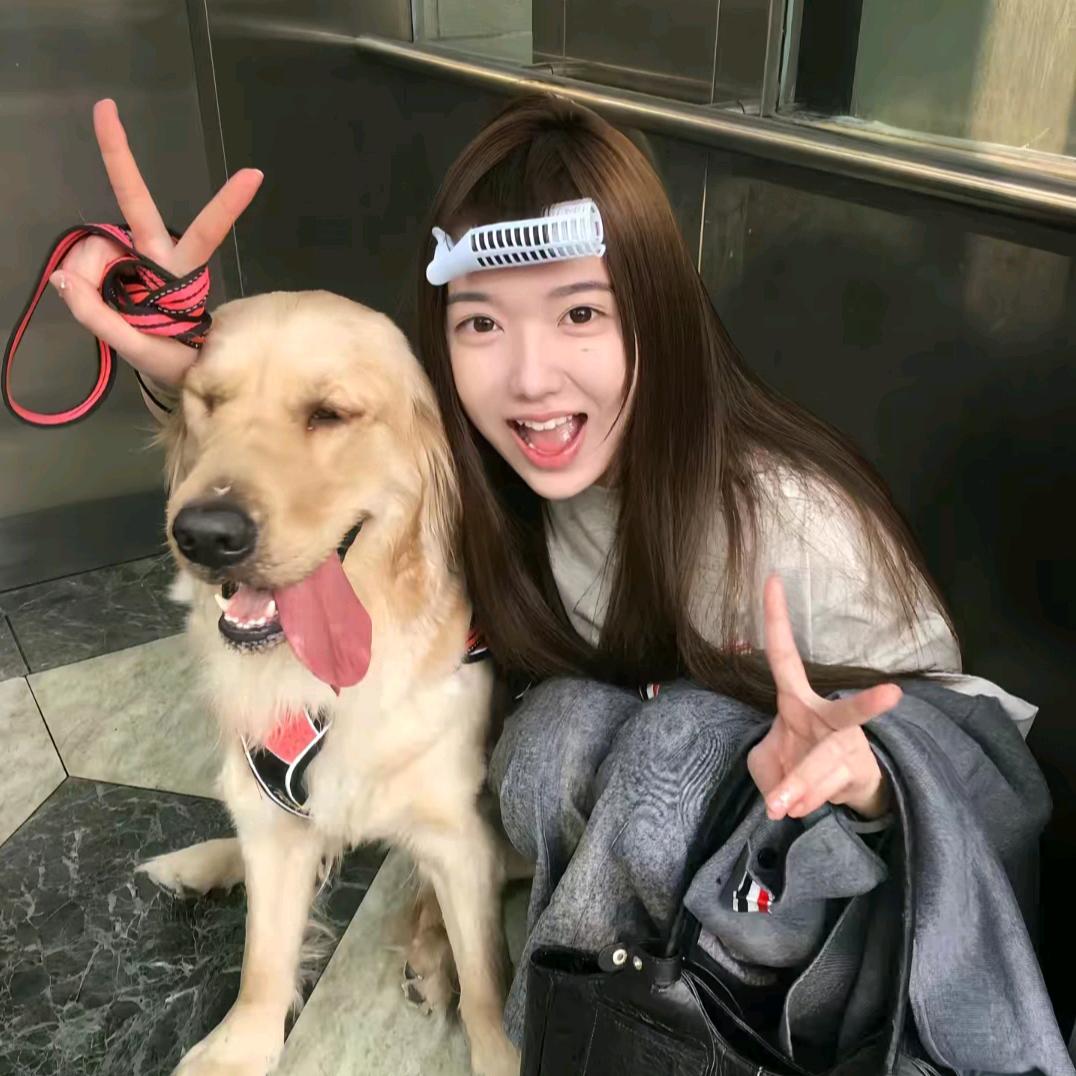 别吵我睡觉^