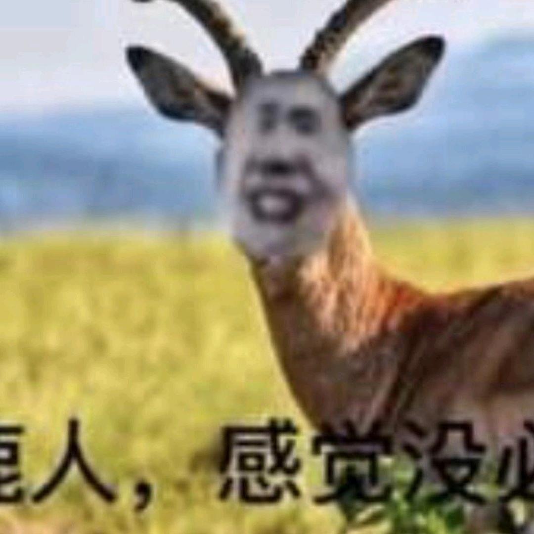 我也是大东家
