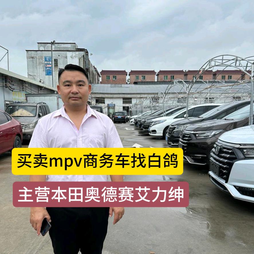白鸽二手车奥德赛艾力绅二手车
