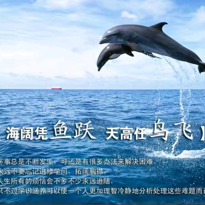 🦋ꦿ໊余生᭄🕊随意᭄ꦿᩚ