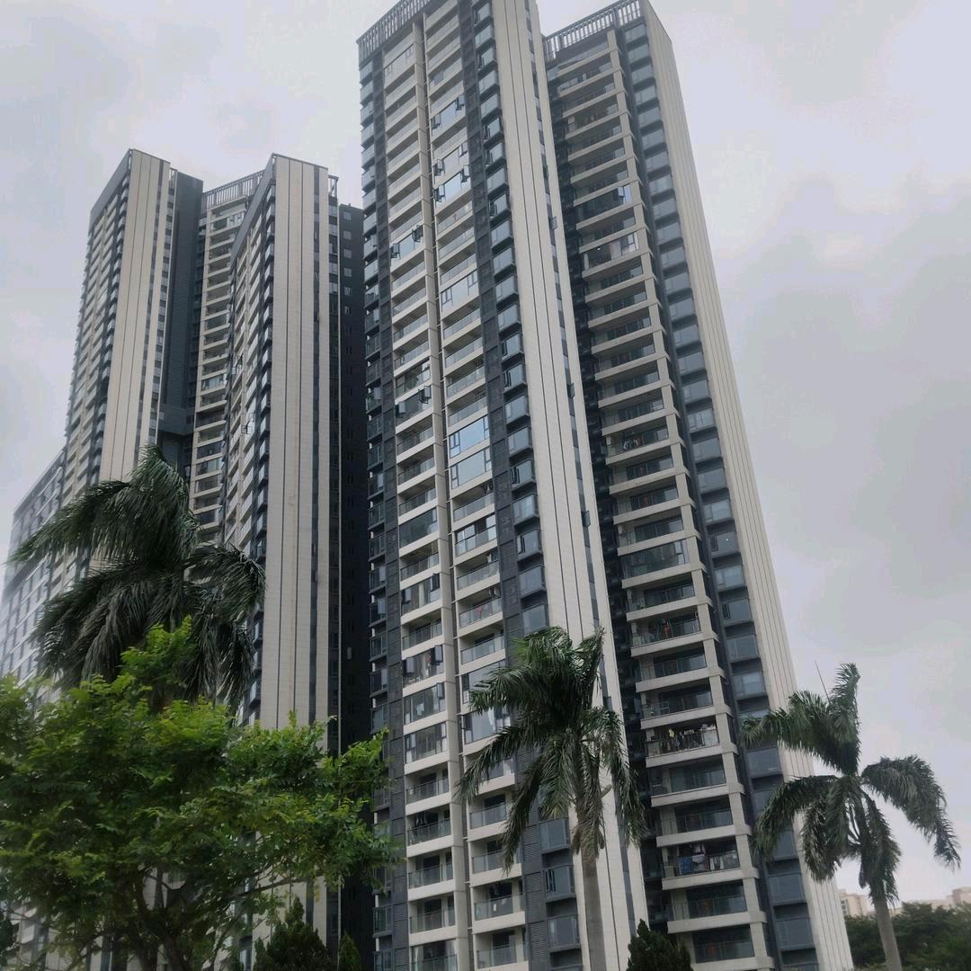 六六在深圳♦(❁´◡`❁)*✲ﾟ*