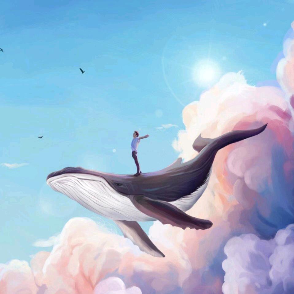 ༺j Y 🐾心尘༻