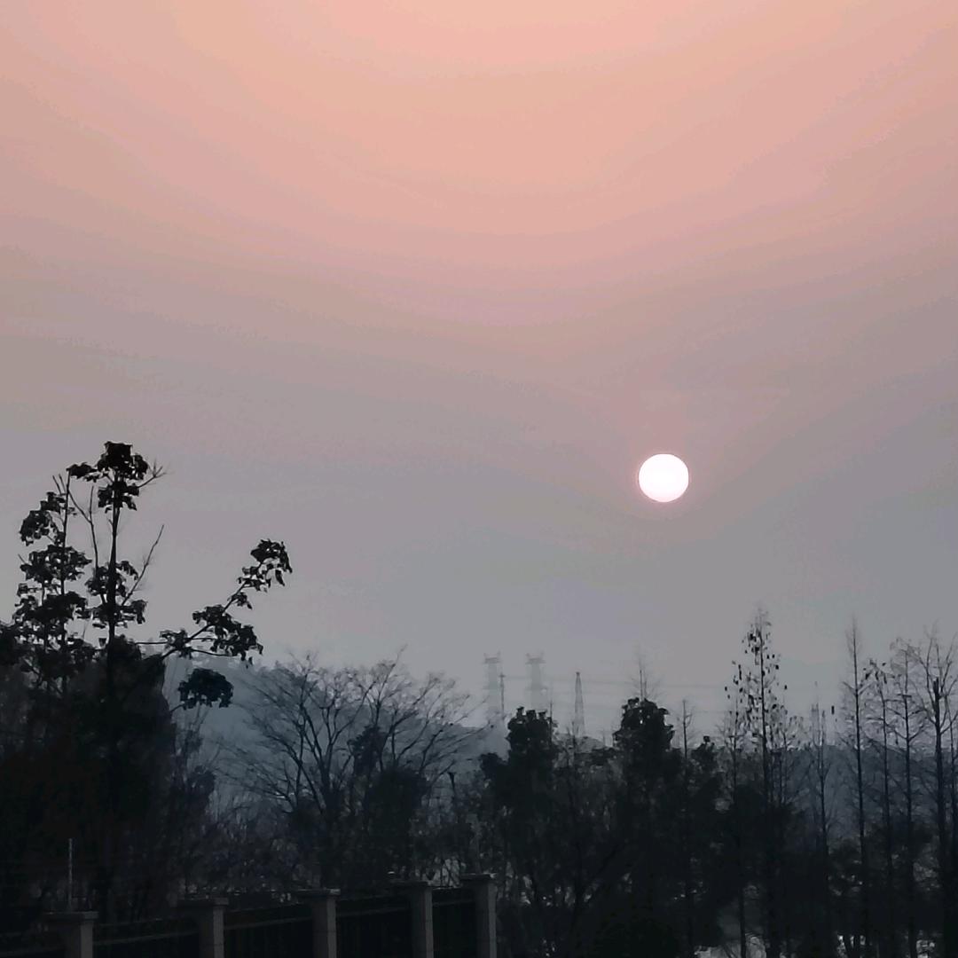 香香姐