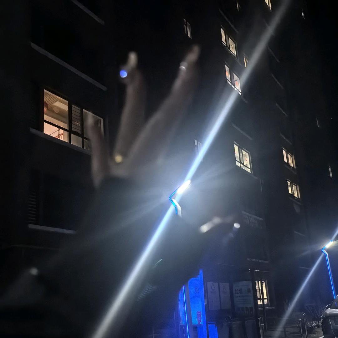 𝑳· •