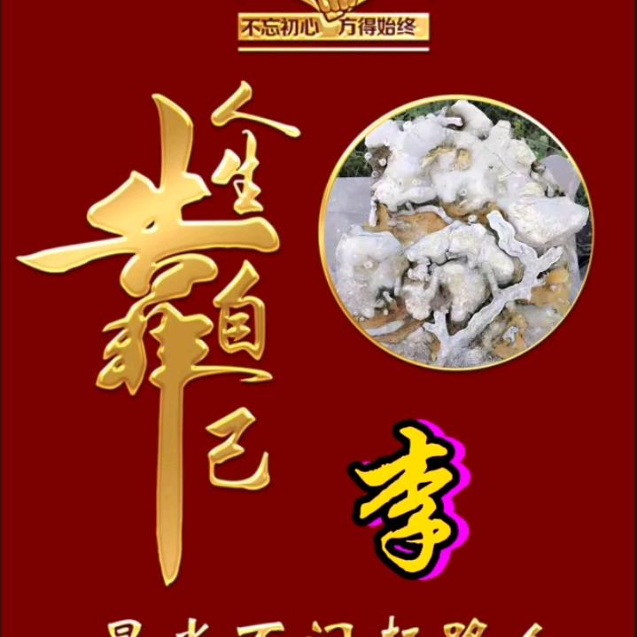 百怪千奇