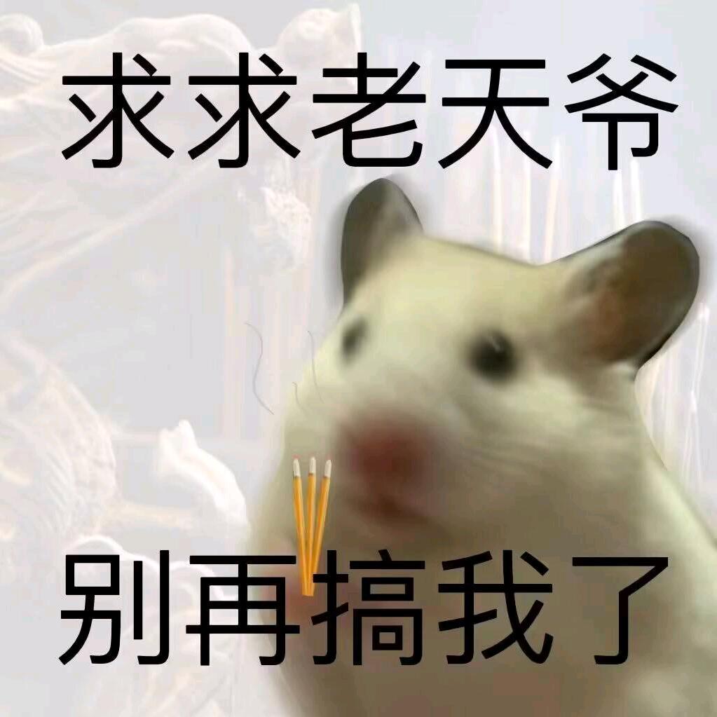 伤心麦辣鸡腿堡