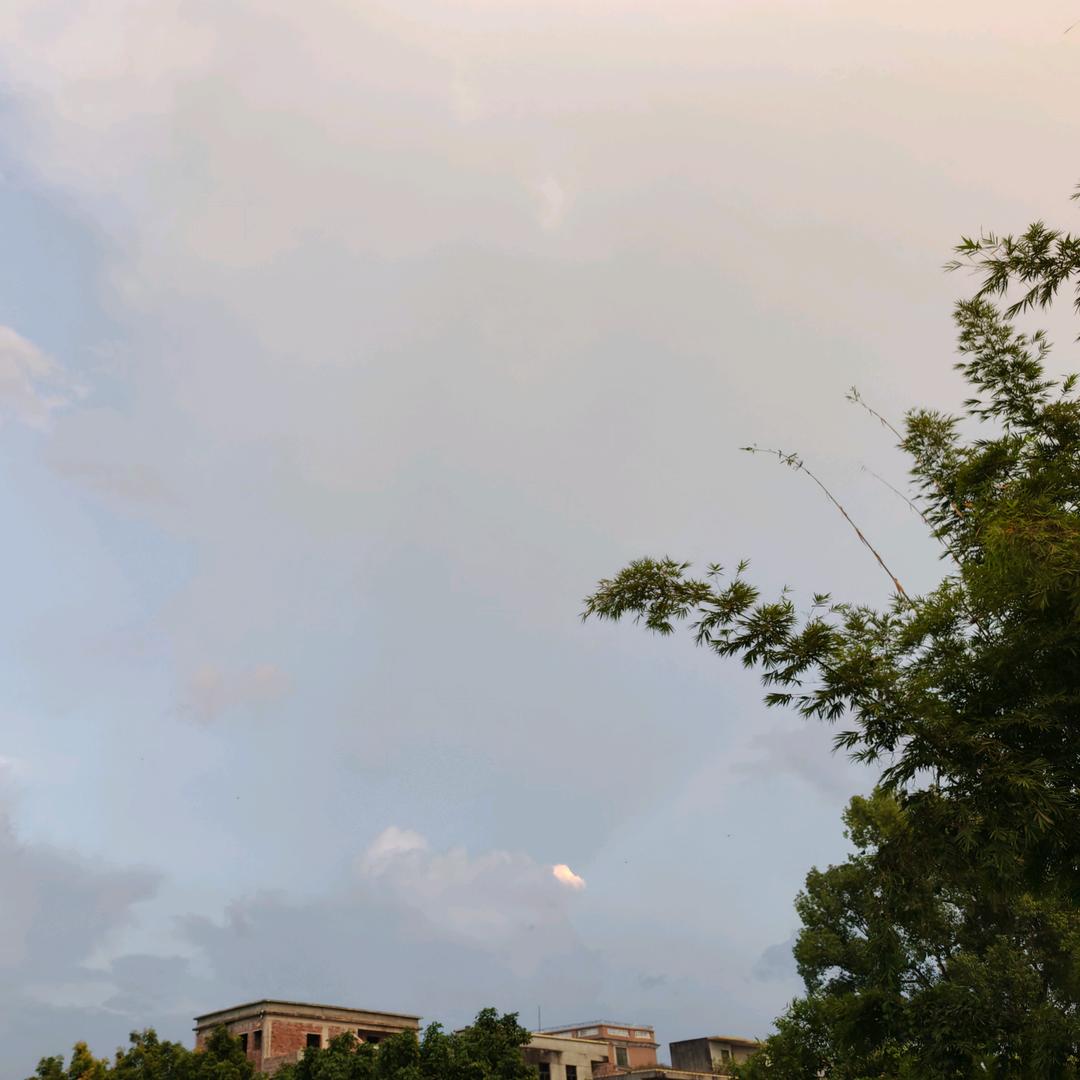 广西陈皮—小掌柜