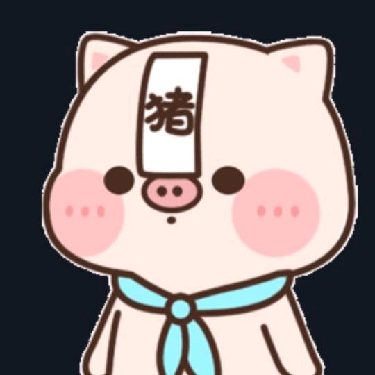 🇨🇳小猪浪子