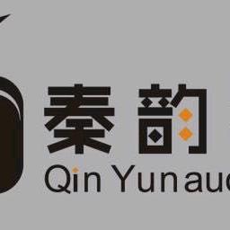 陕西秦韵视听电子工程有限公司