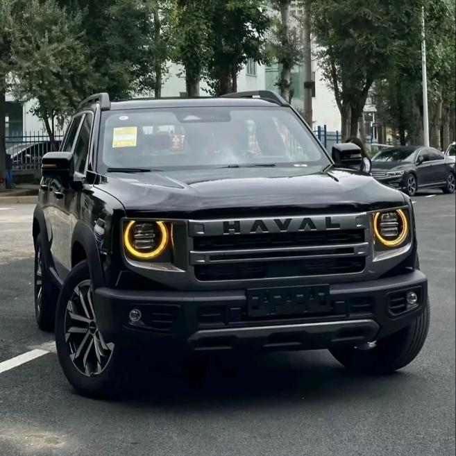 小宋聊哈弗大狗