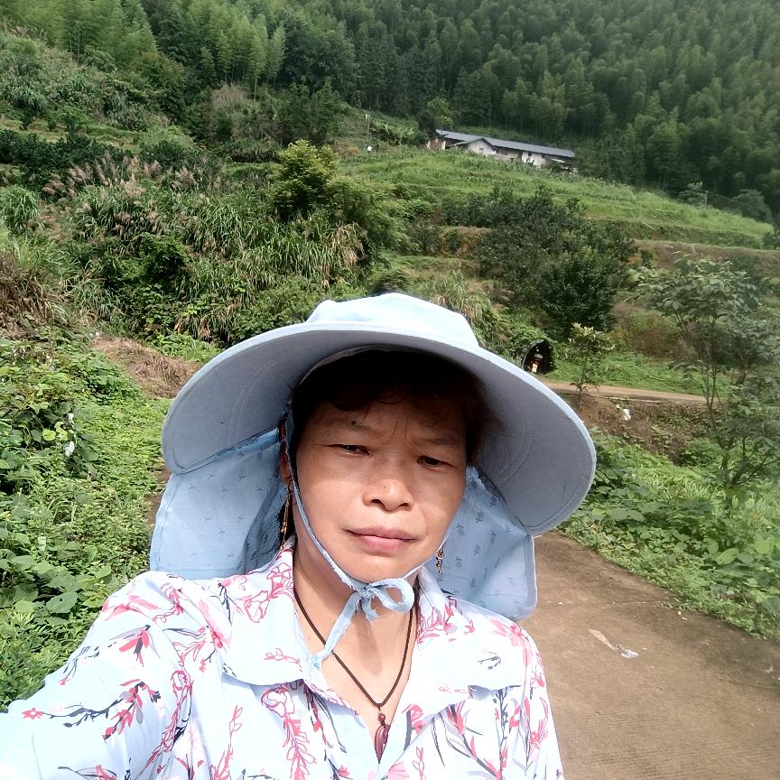 乡村凤姐