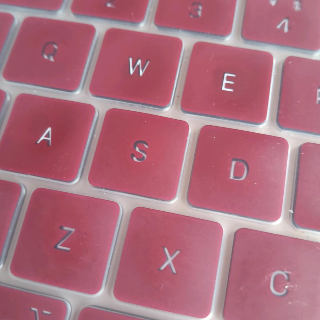 莫莫陶（分享号）