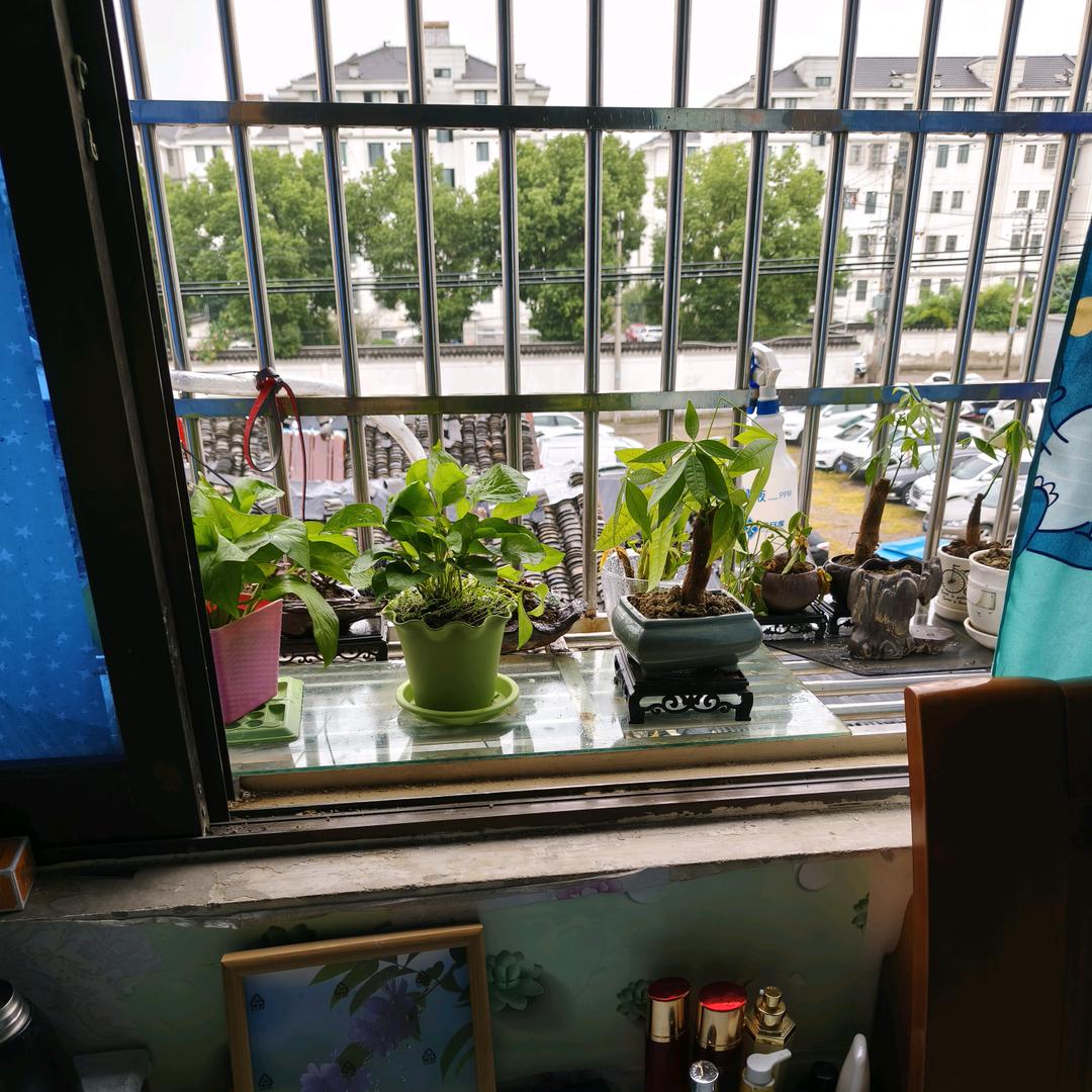 及时行乐须及春