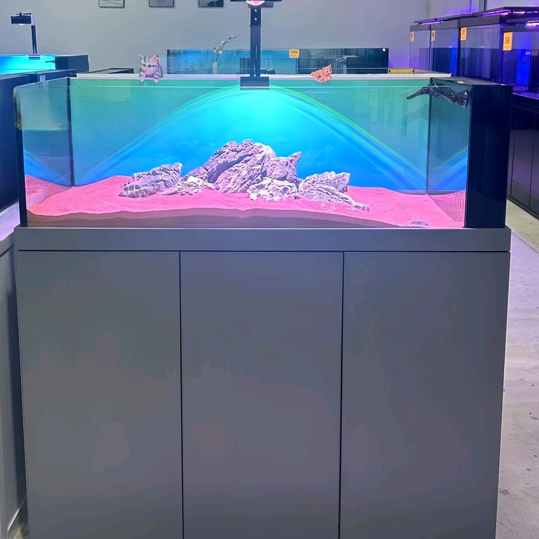 鱼妃妃水族溪流缸
