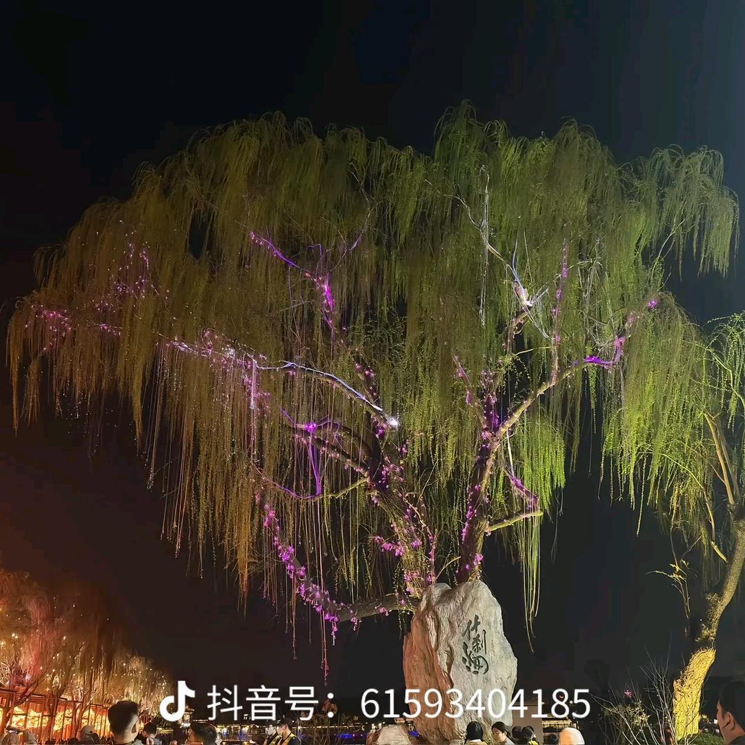 离家的人