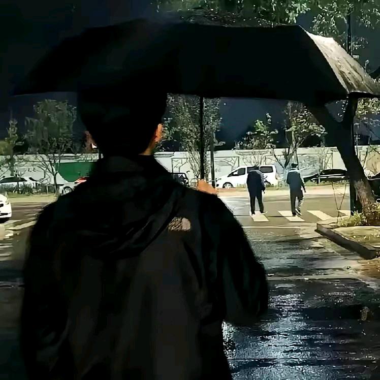 词凝.