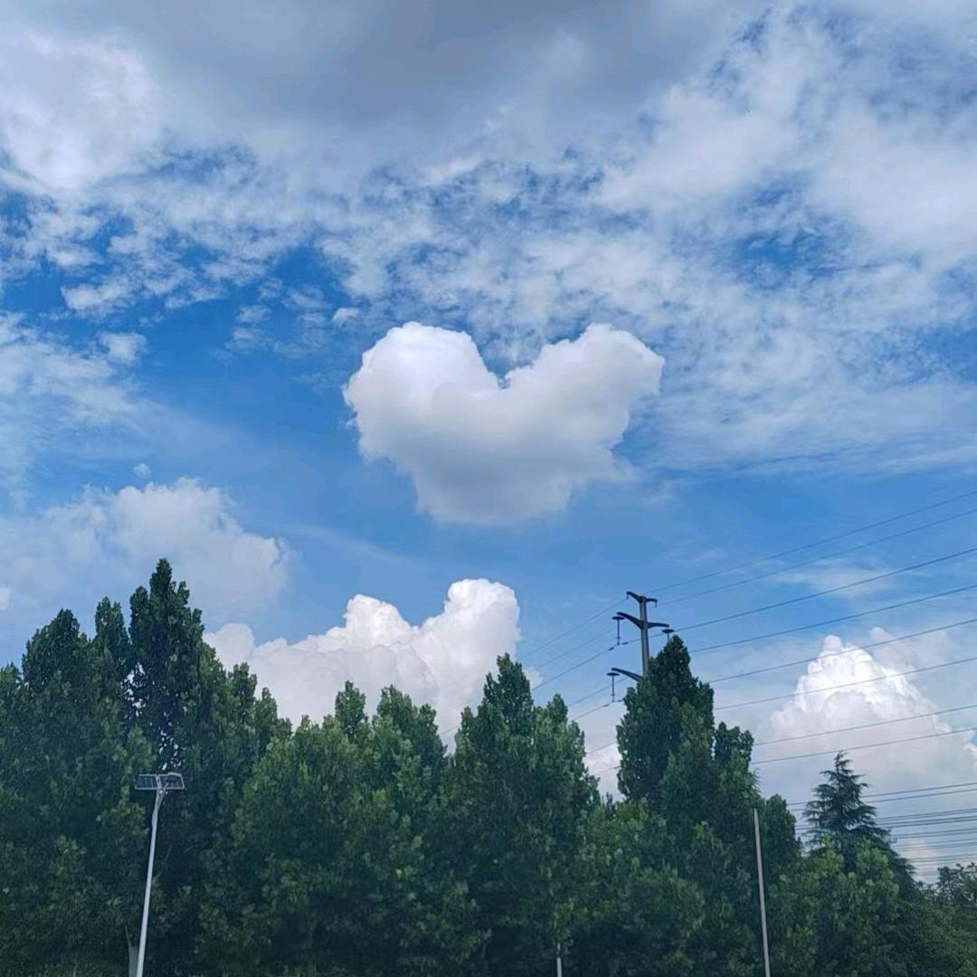 喜与徐