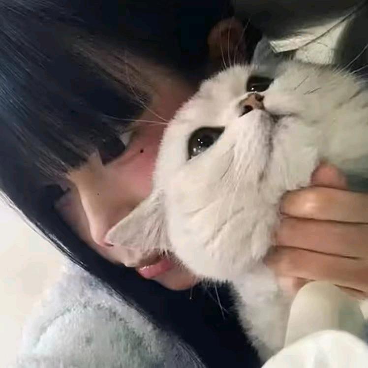 -烤红薯💞